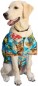 Preview: RJC Hawaii - Hunde Hawaiihemd Aqua
